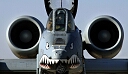 a10-with-nose-art.jpg